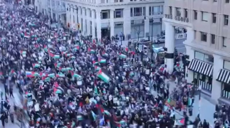 طالبوا بوقف الحرب.. 400 ألف متظاهر في أكبر مسيرة لدعم فلسطين في العاصمة الأمريكية (فيديو)